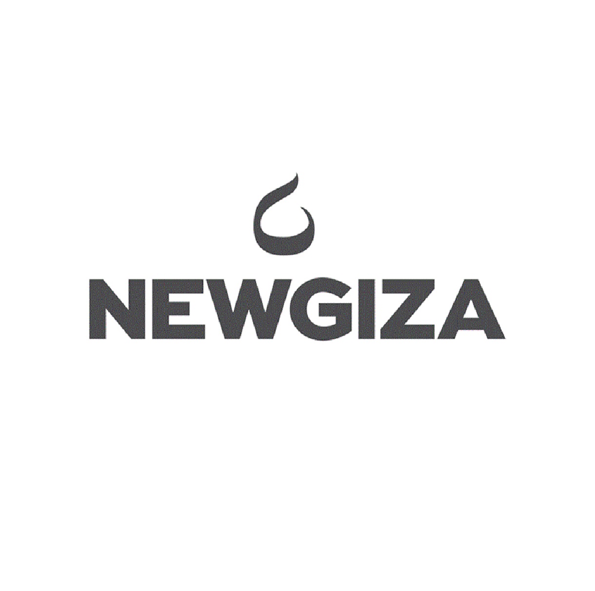 Bim Architect For Newgiza 