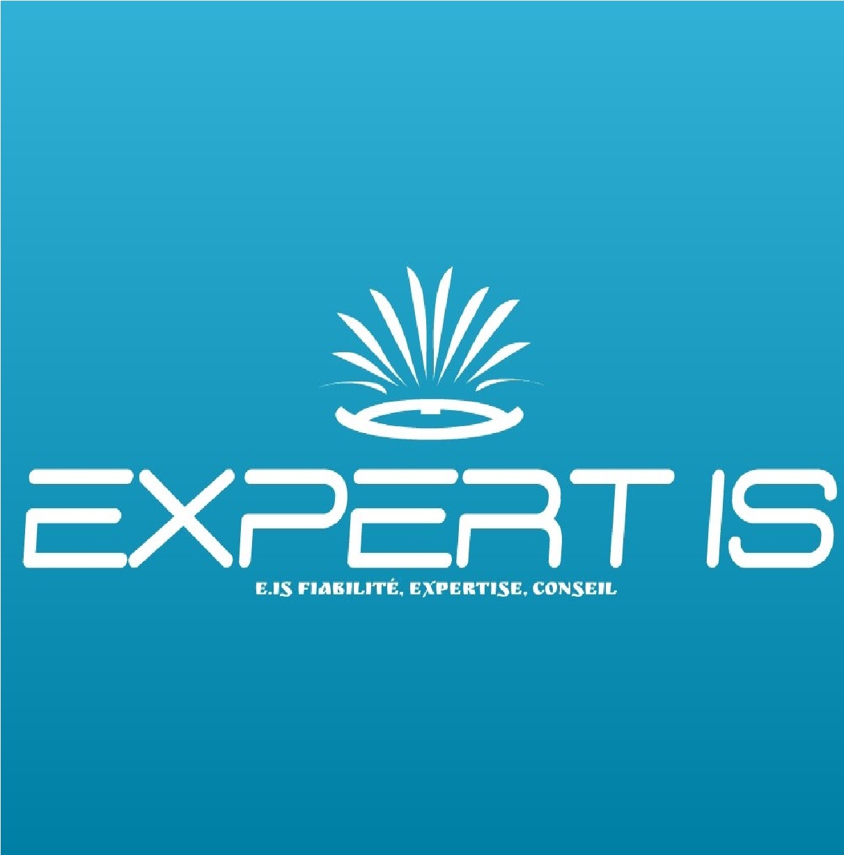 Jobs And Opportunities At Expert Is Jobiano