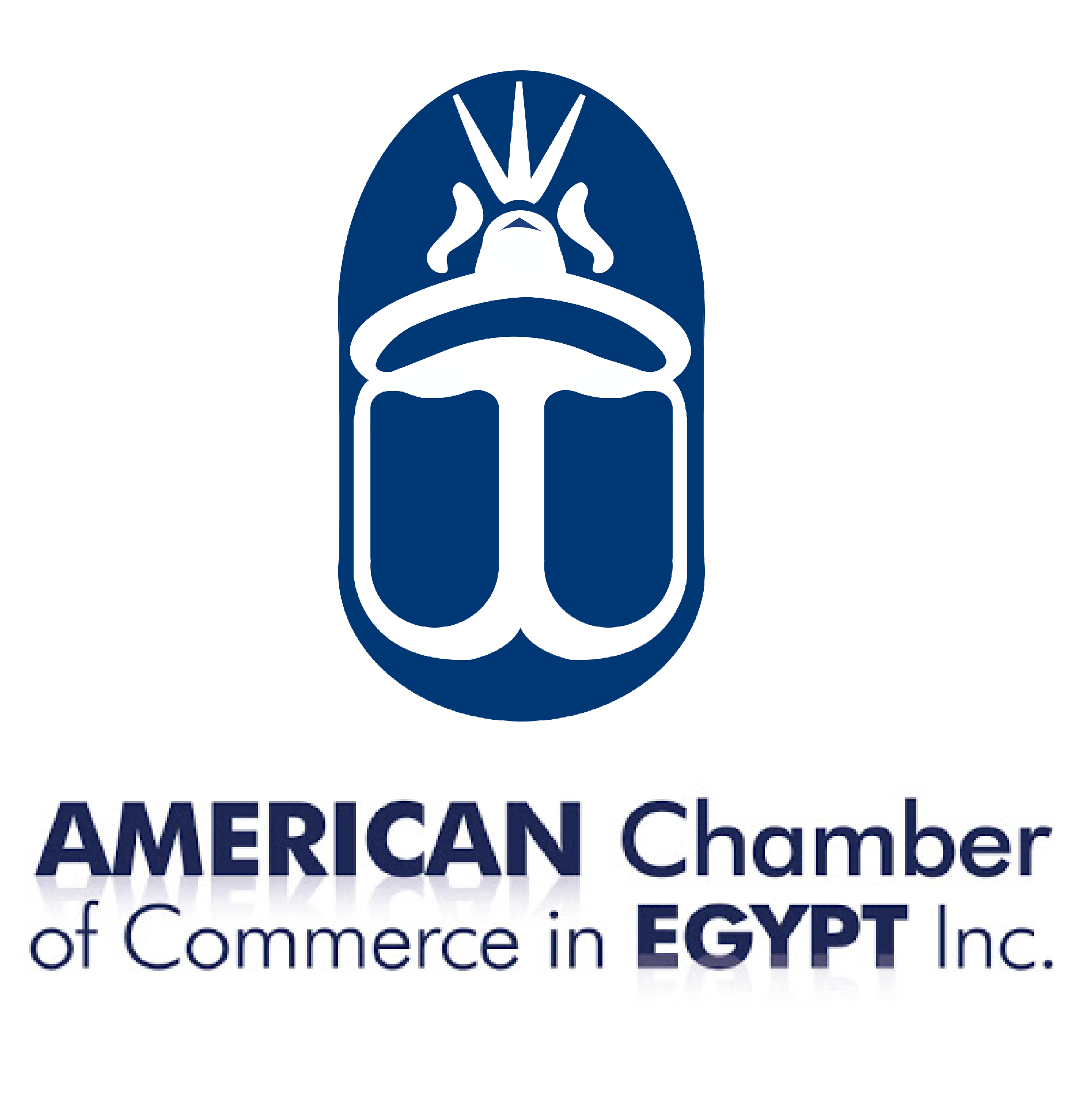 American Chamber of Commerce in Egypt