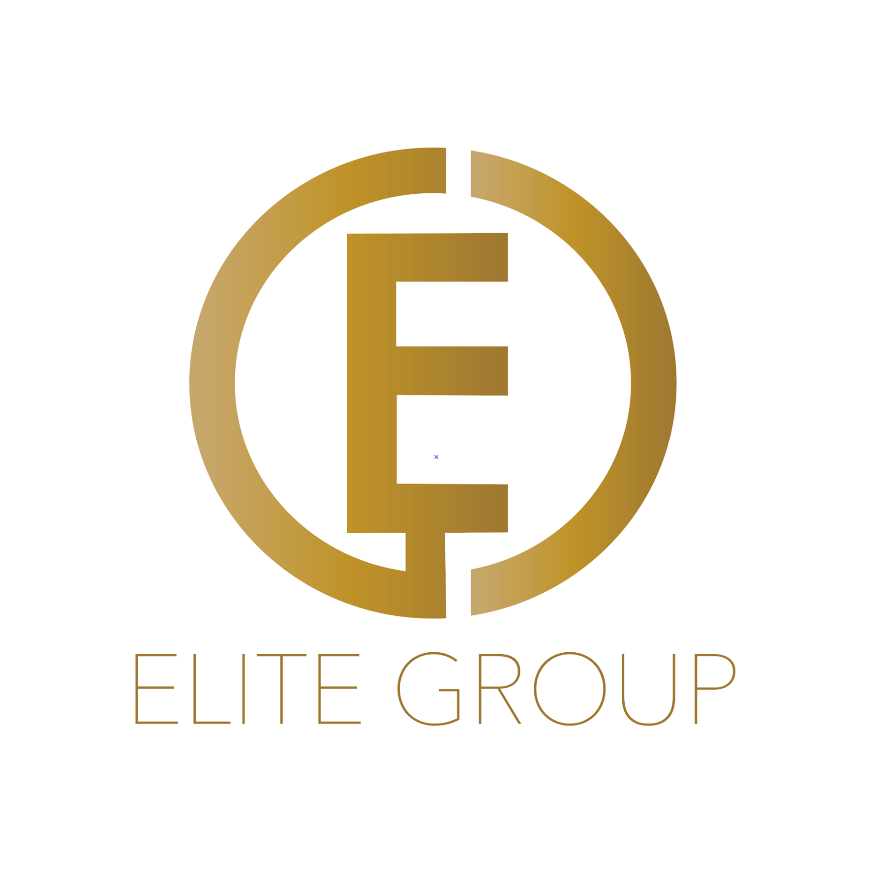 finance-manager-for-elite