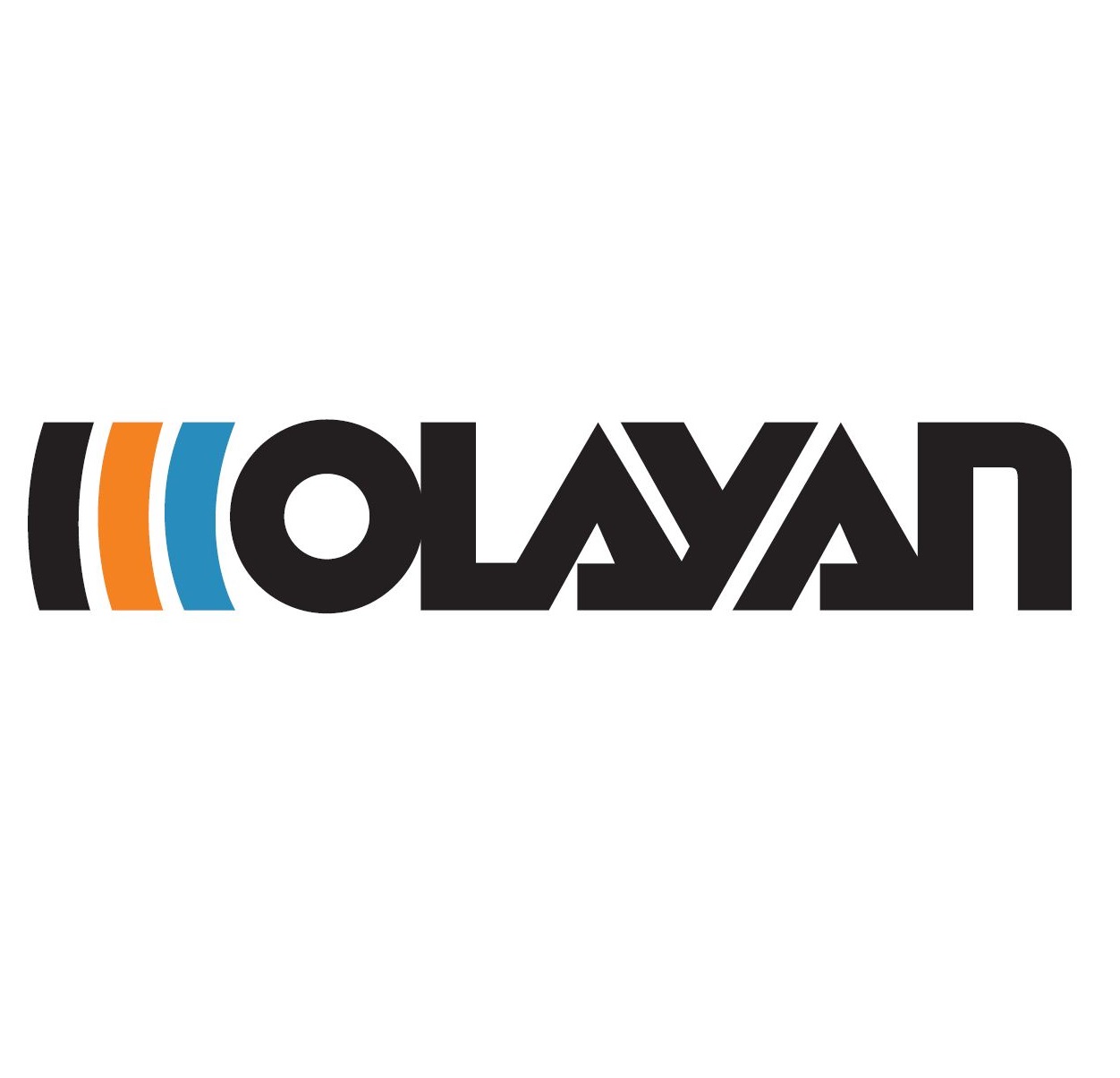 Olayan Holding Group