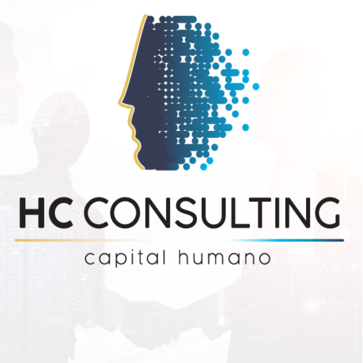 hc-consultation