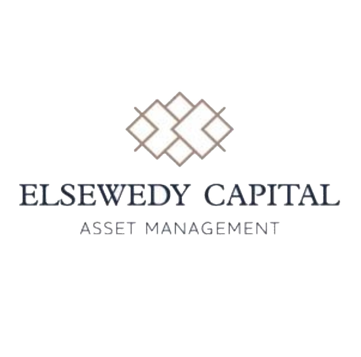 El-Sewedy Capital