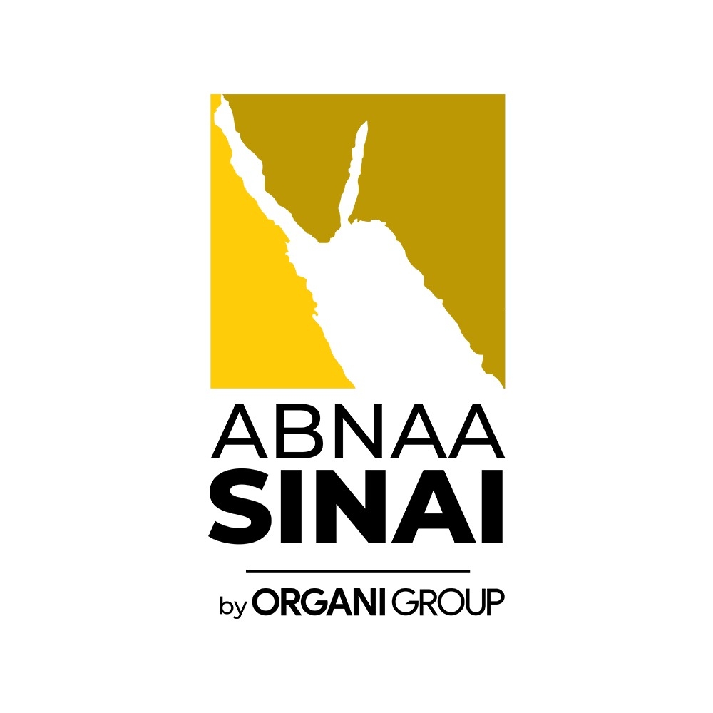 Abnaa Sinai For Construction & Building