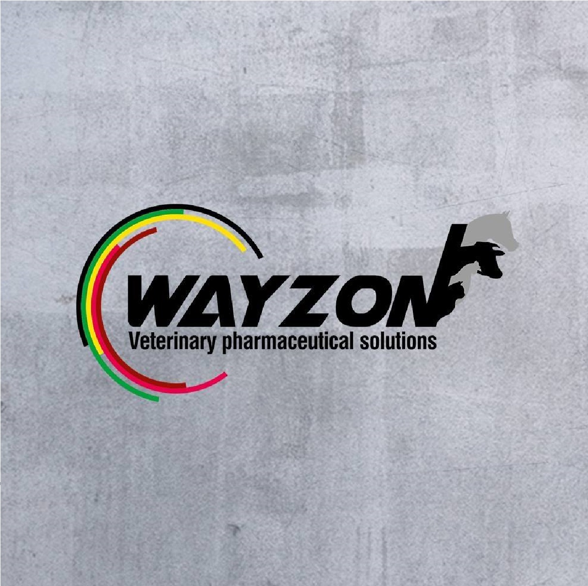 Wayzon pharma