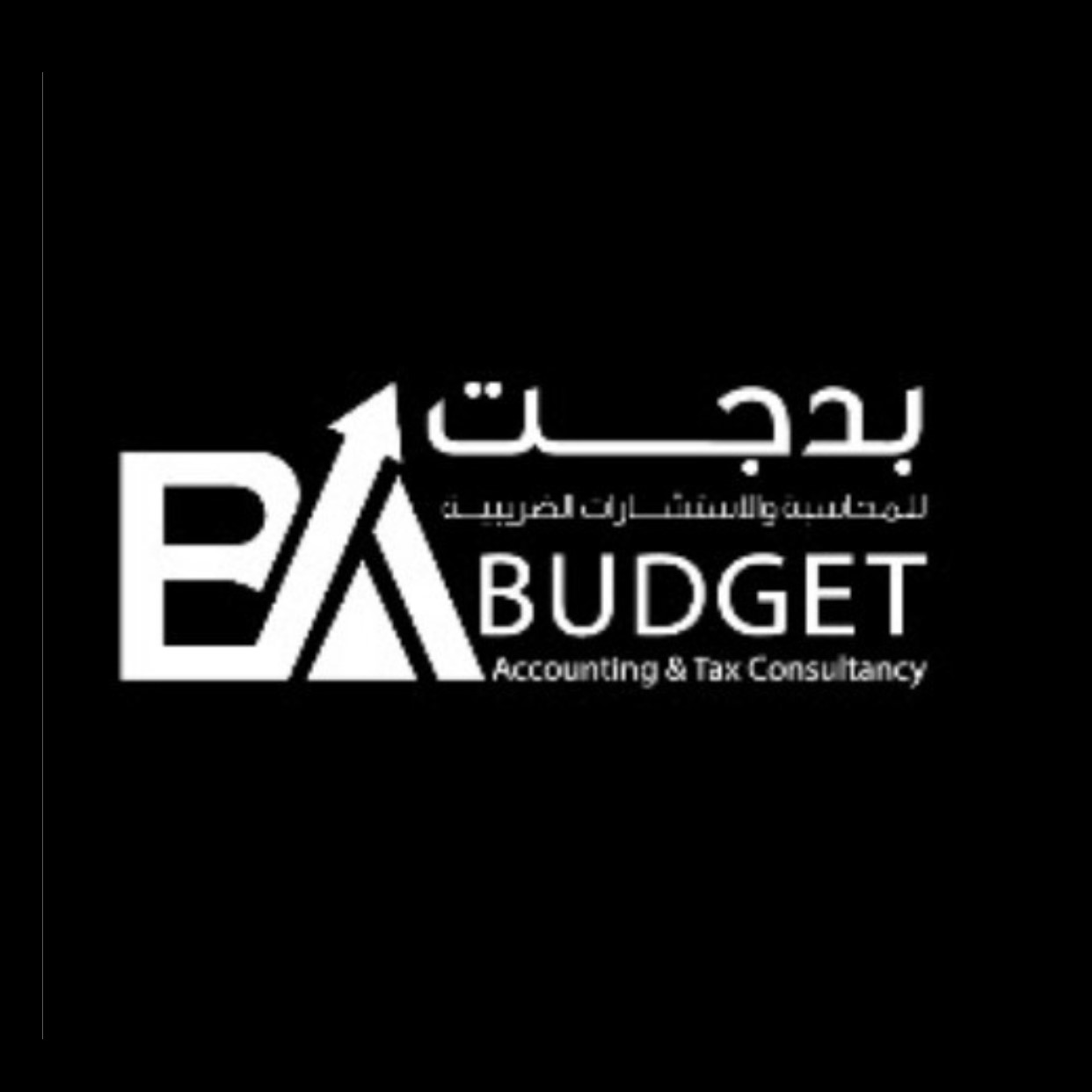 Budget accounting and Tax consultancy