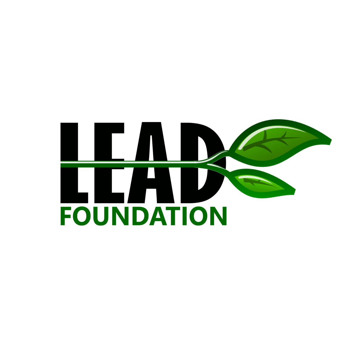 Lead Foundation