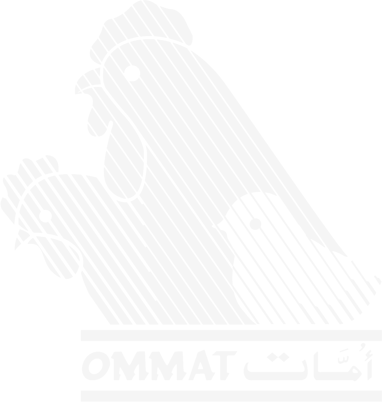 Ommat Group