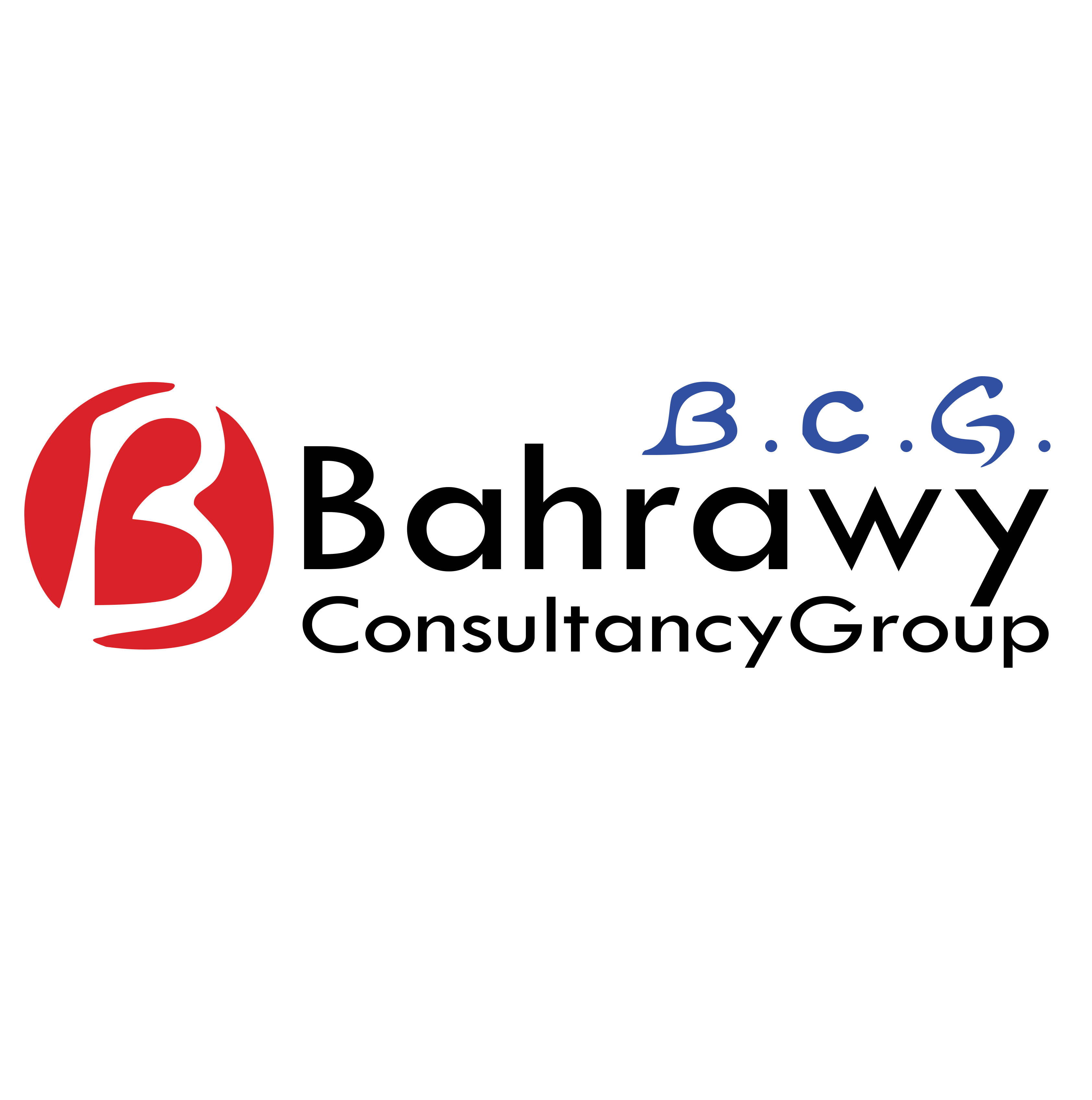 Bahrawy Consultancy Group