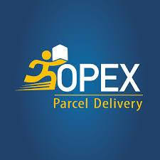 شركة OPEX Egypt