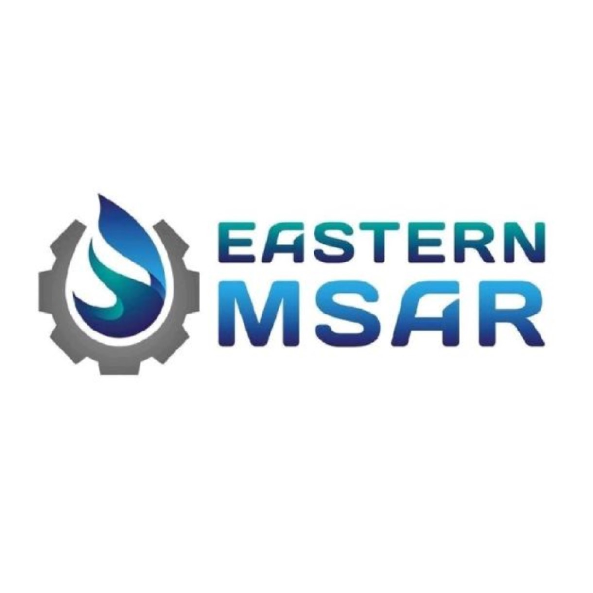 MSAR Company