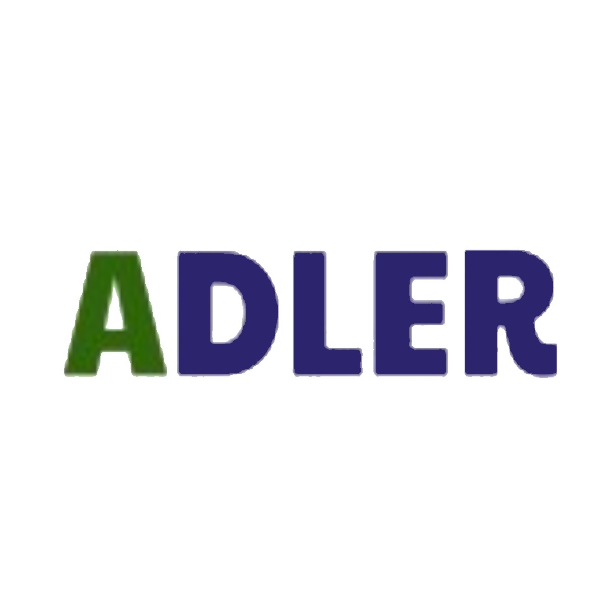 Adler Construction