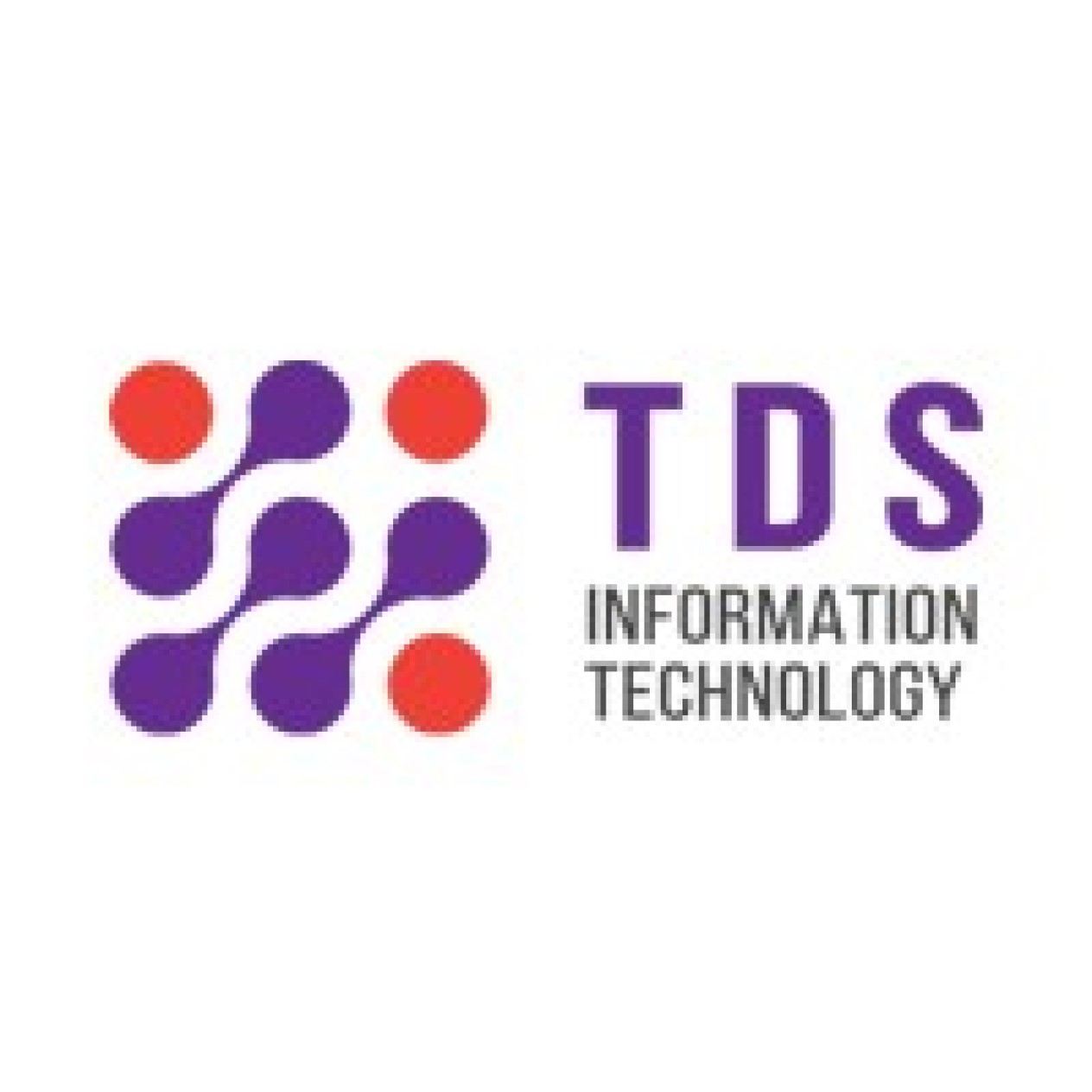 TDS Information Technology