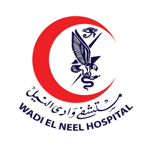 Wadi El Neel Hospital