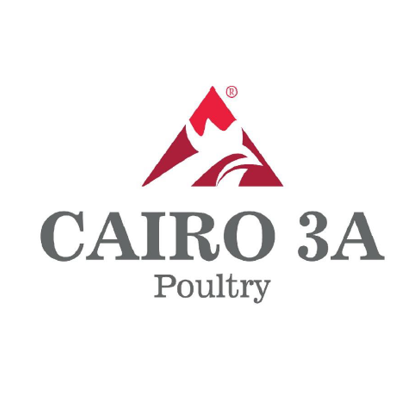 Cairo 3A Group Poultry