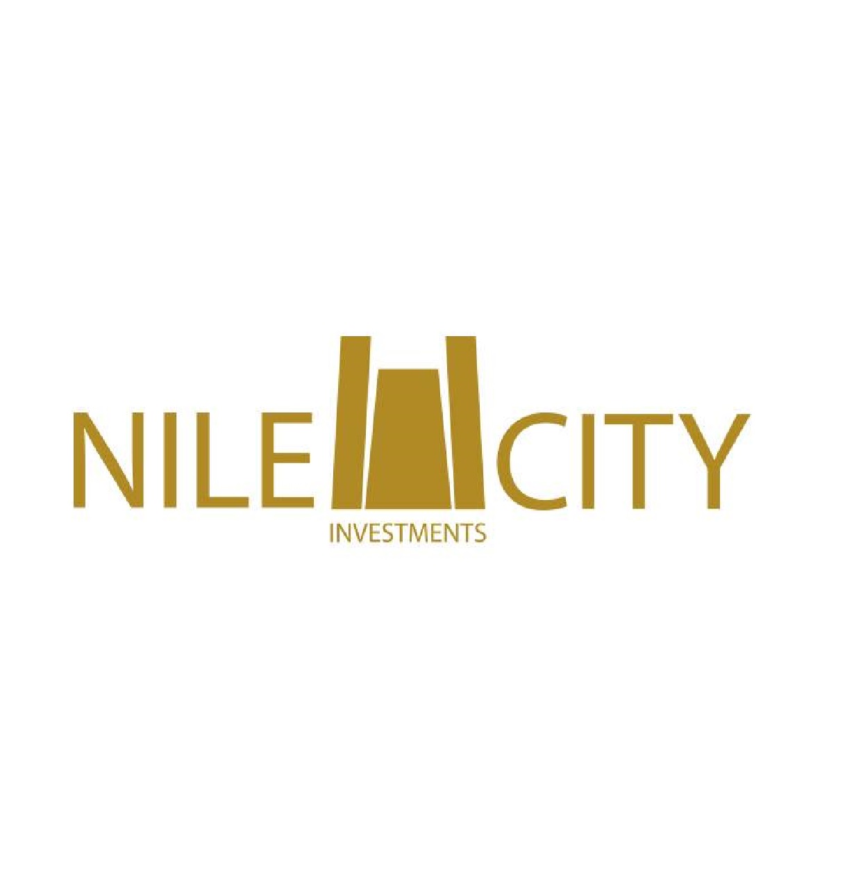 Senior Accounts Payable for Nile City towers | جوبيانو