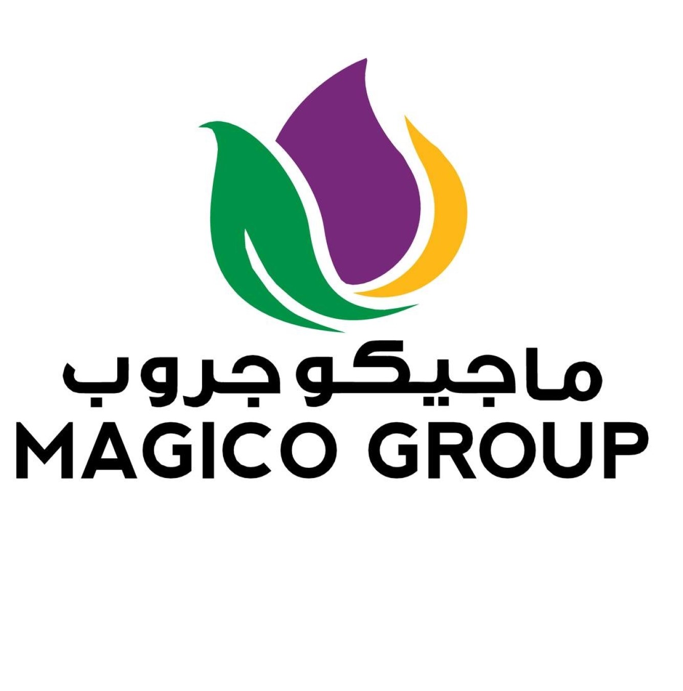 Magico Group