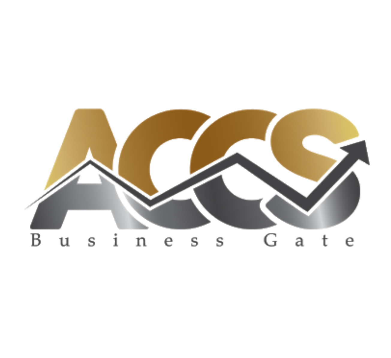 ACCS Financial Services - Mostafa Hamdy & CO.