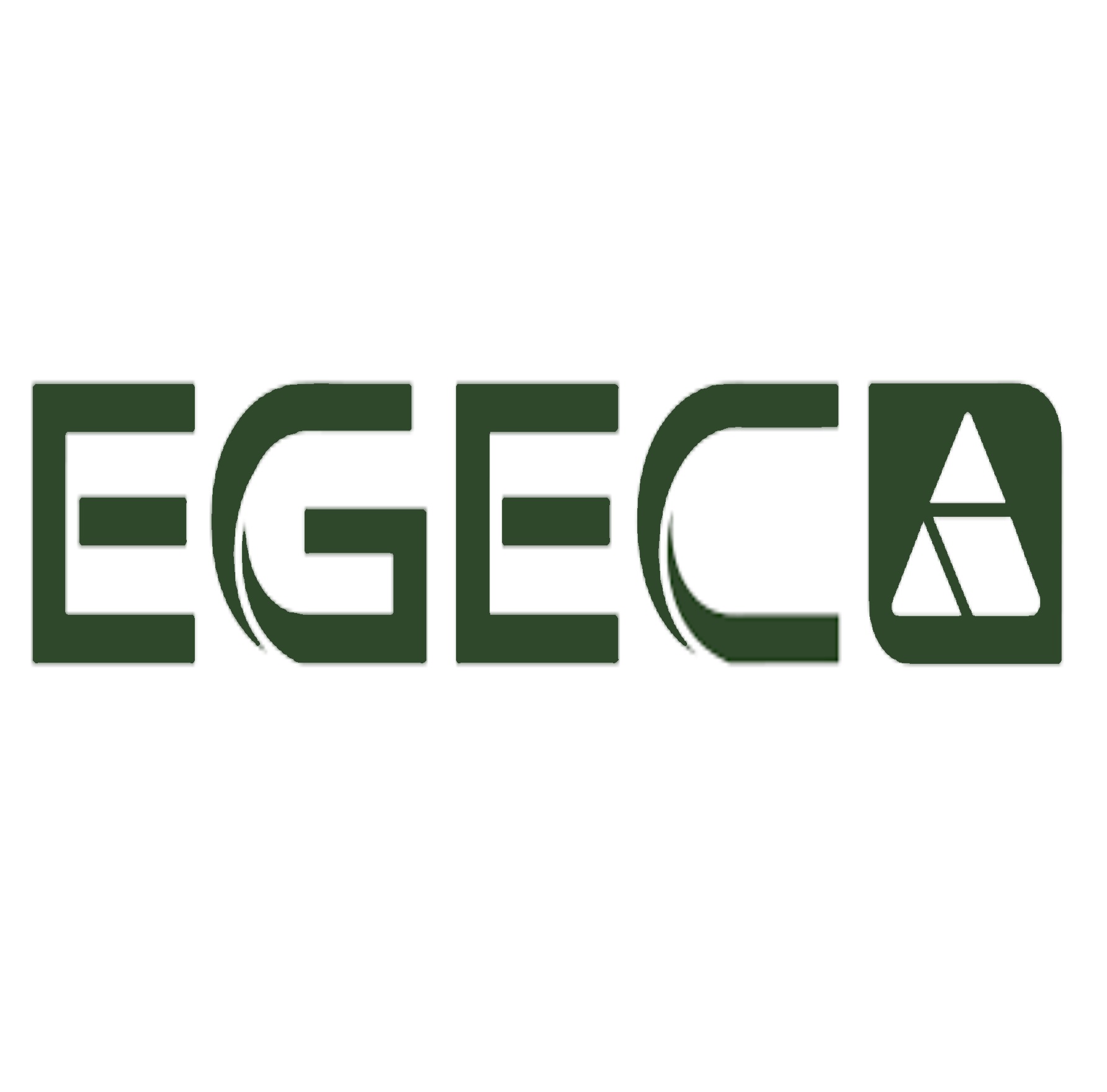 EGEC Consulting