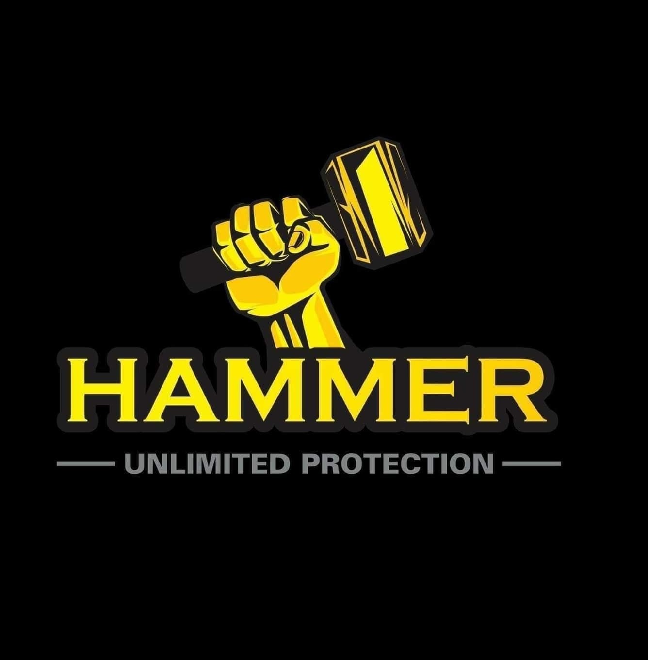 Hammer Protection company