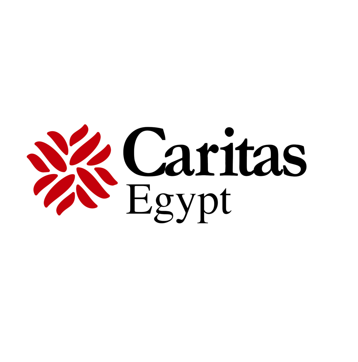 Caritas Egypt