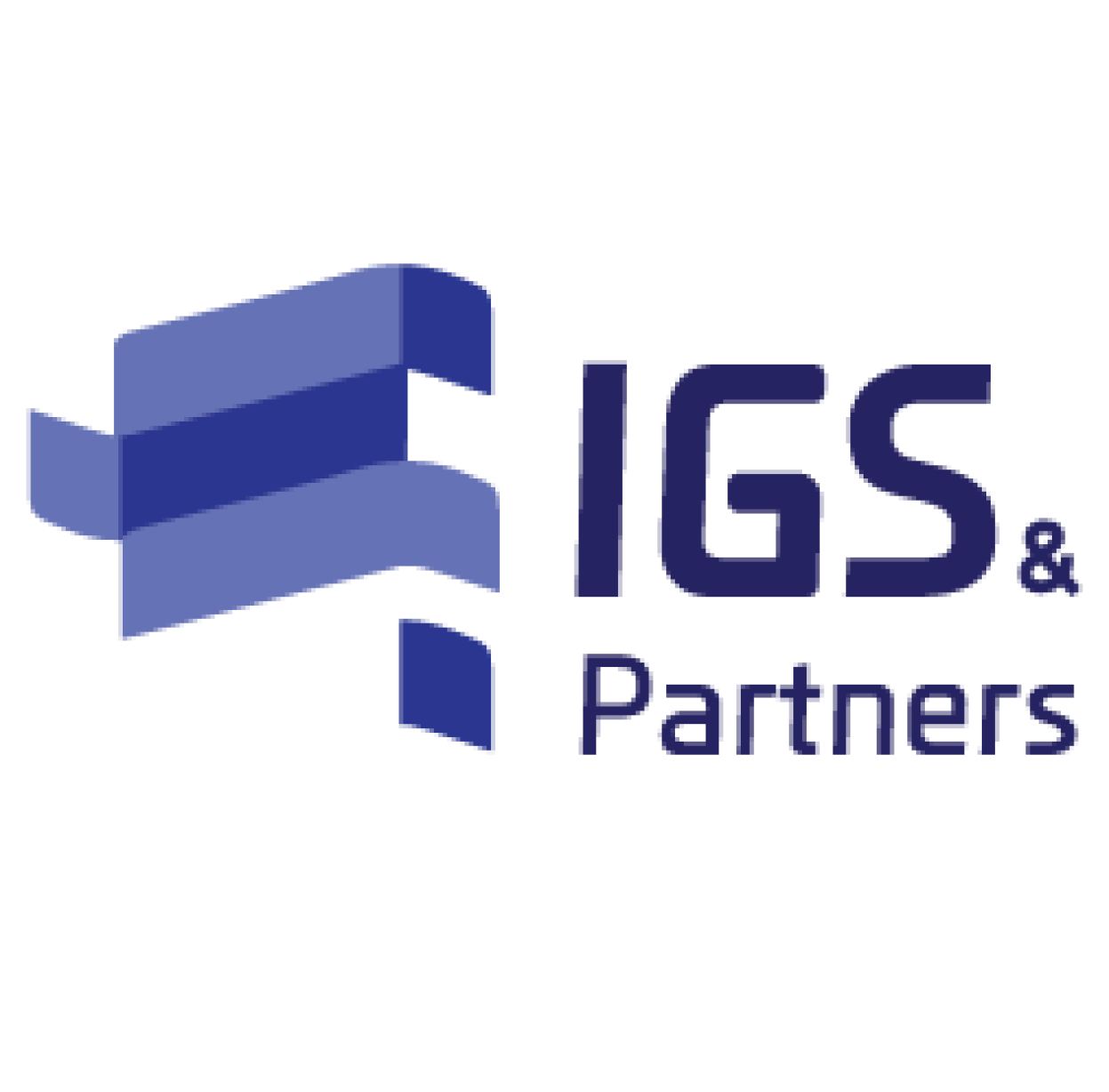 IGS and Partners