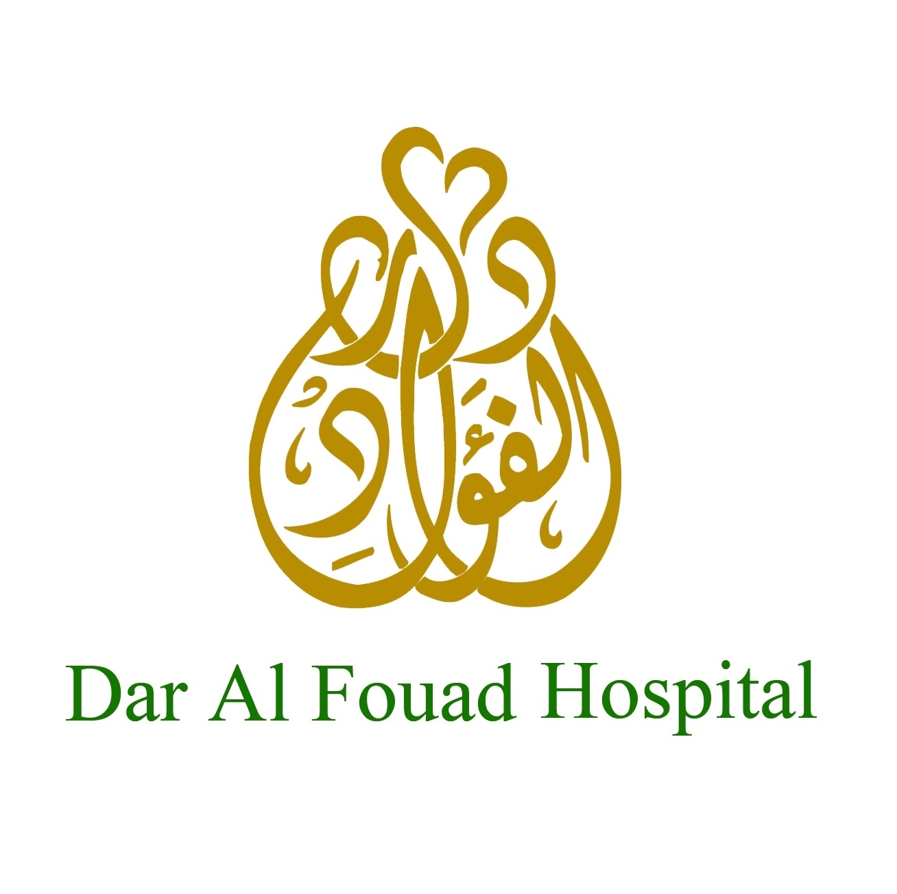 Dar Al Fouad Hospital