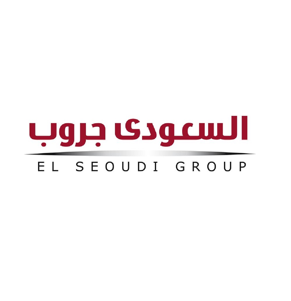 Elseoudi Group