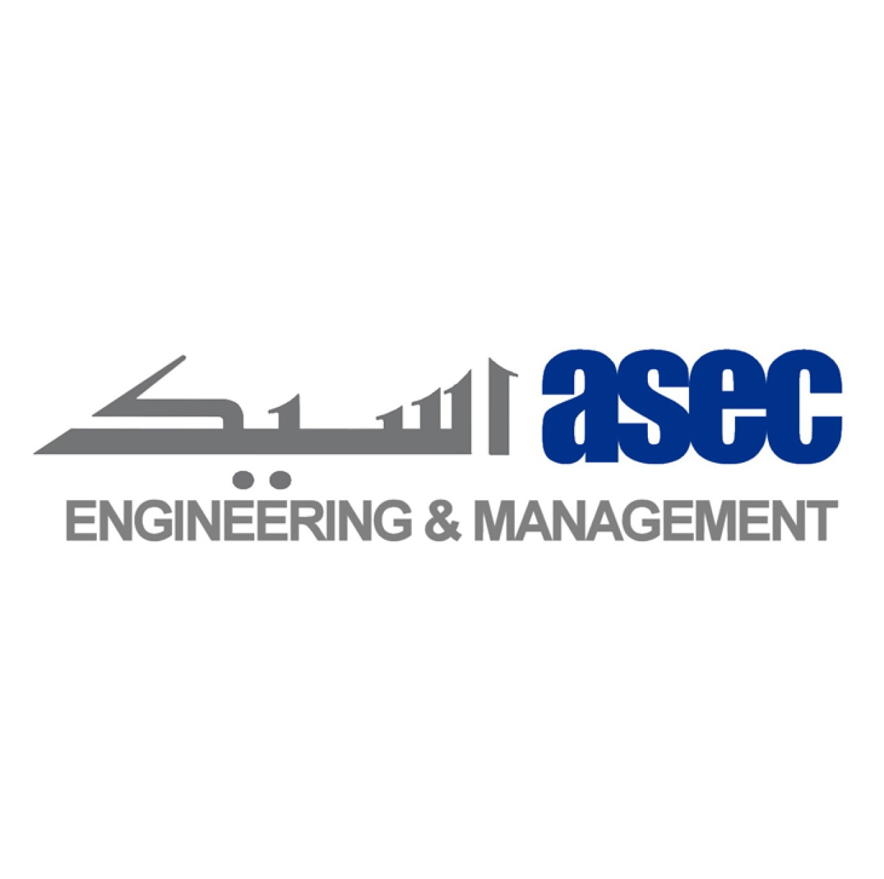 Swiss Engineering-Asec