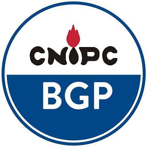 BGP Inc. Company