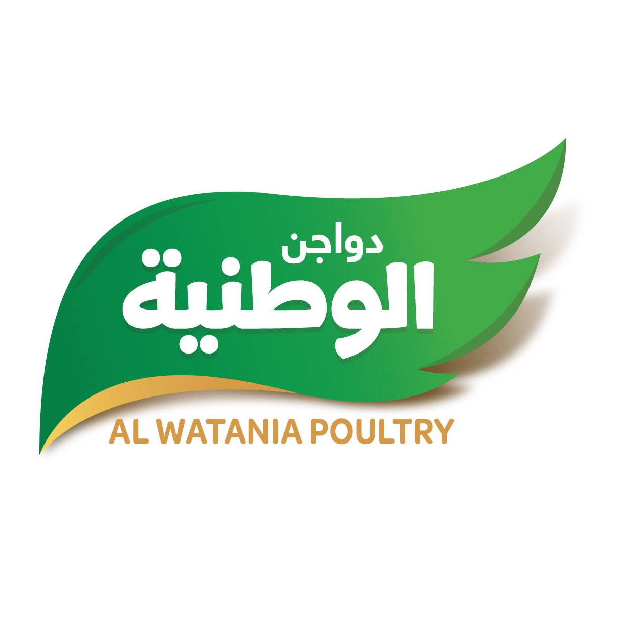 Al watania company