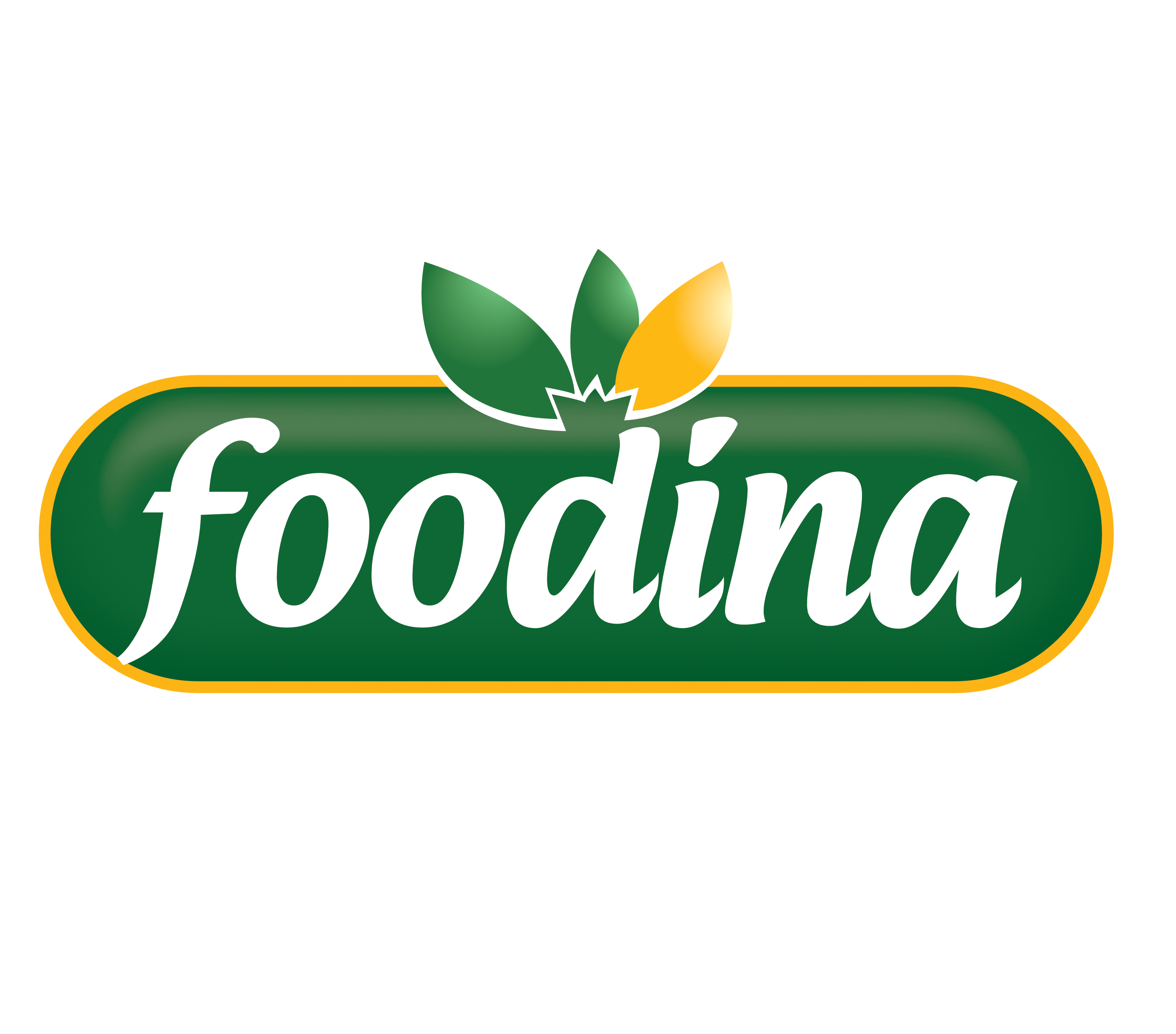 Foodina