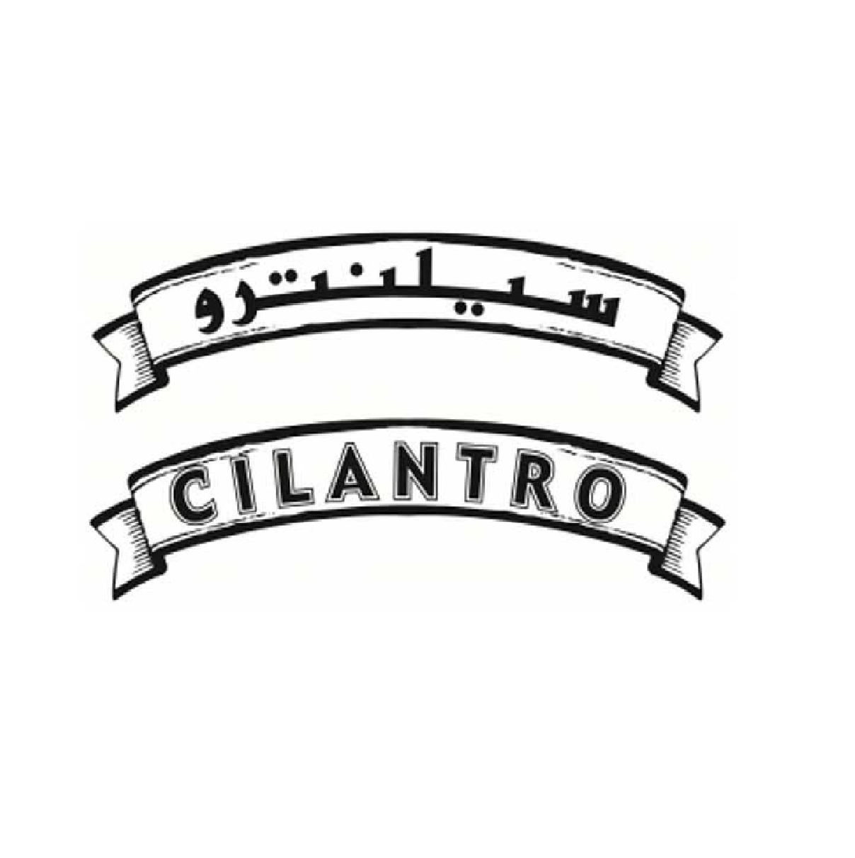 Cilantro