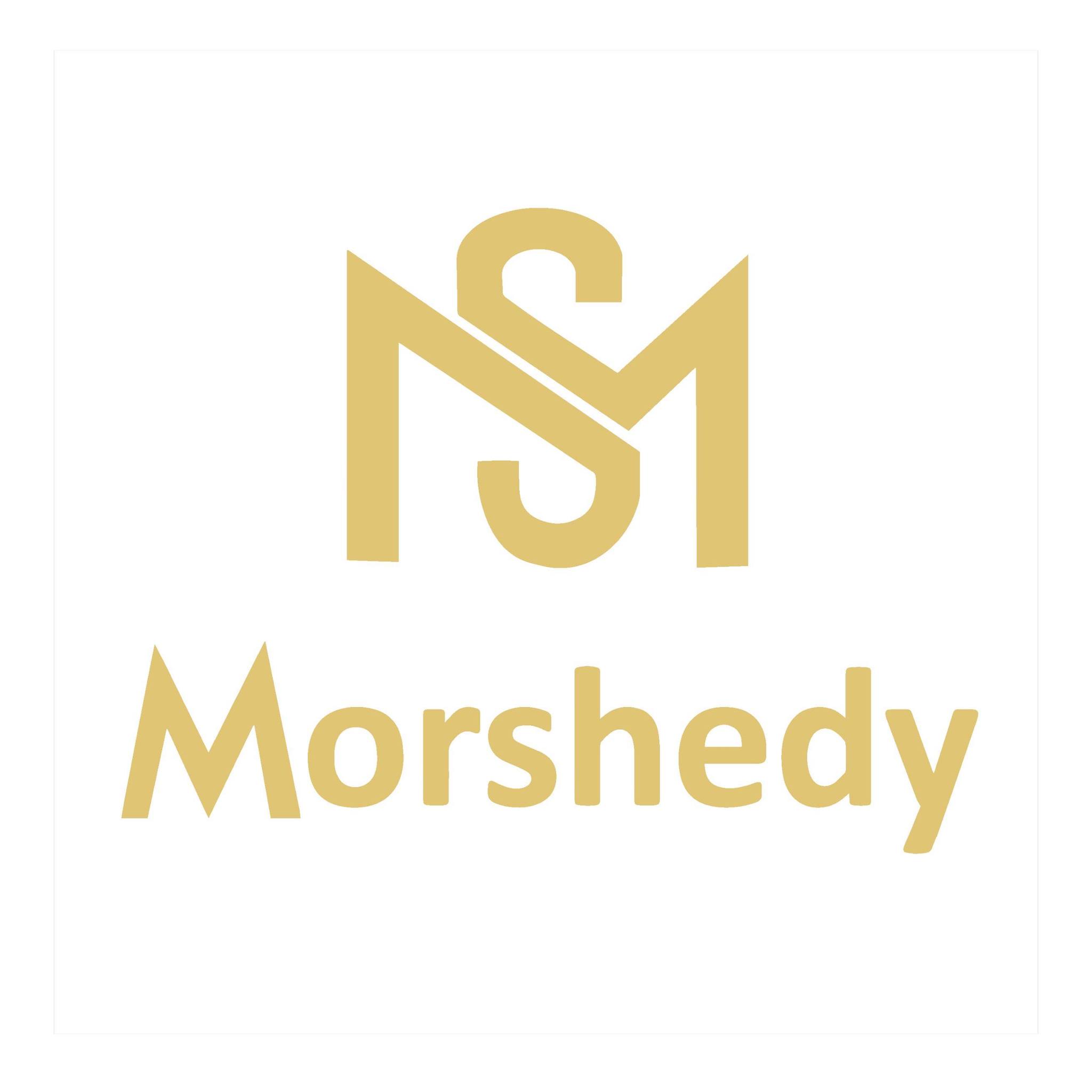 MORSHEDY GROUP