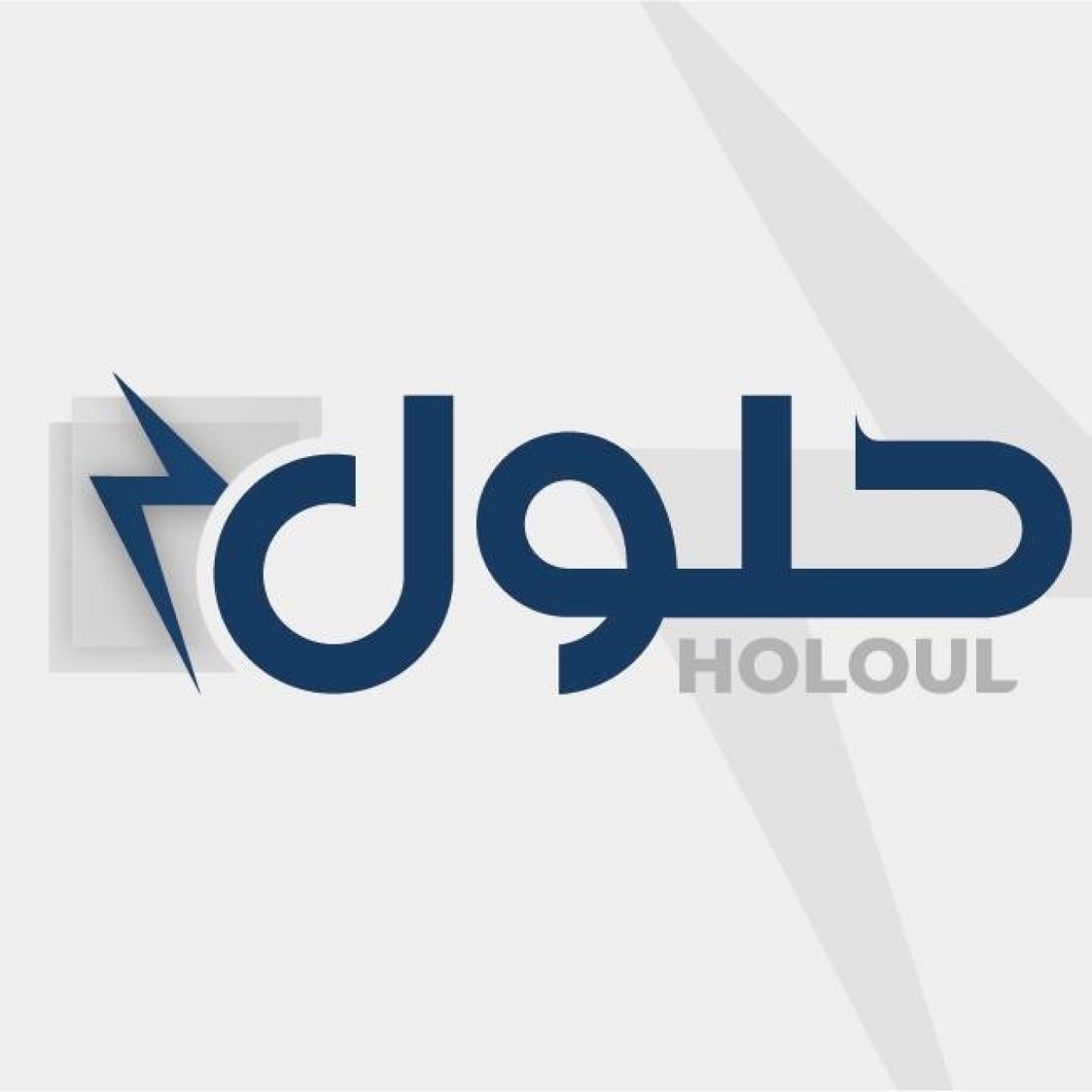 Holoul Electrical Industries