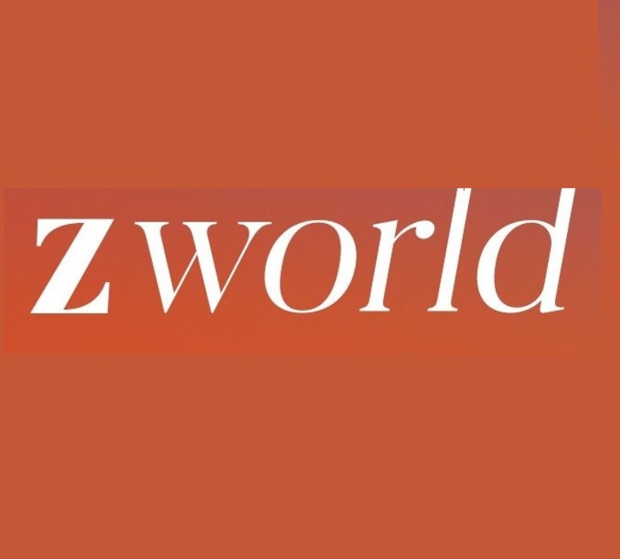 Z World Holding