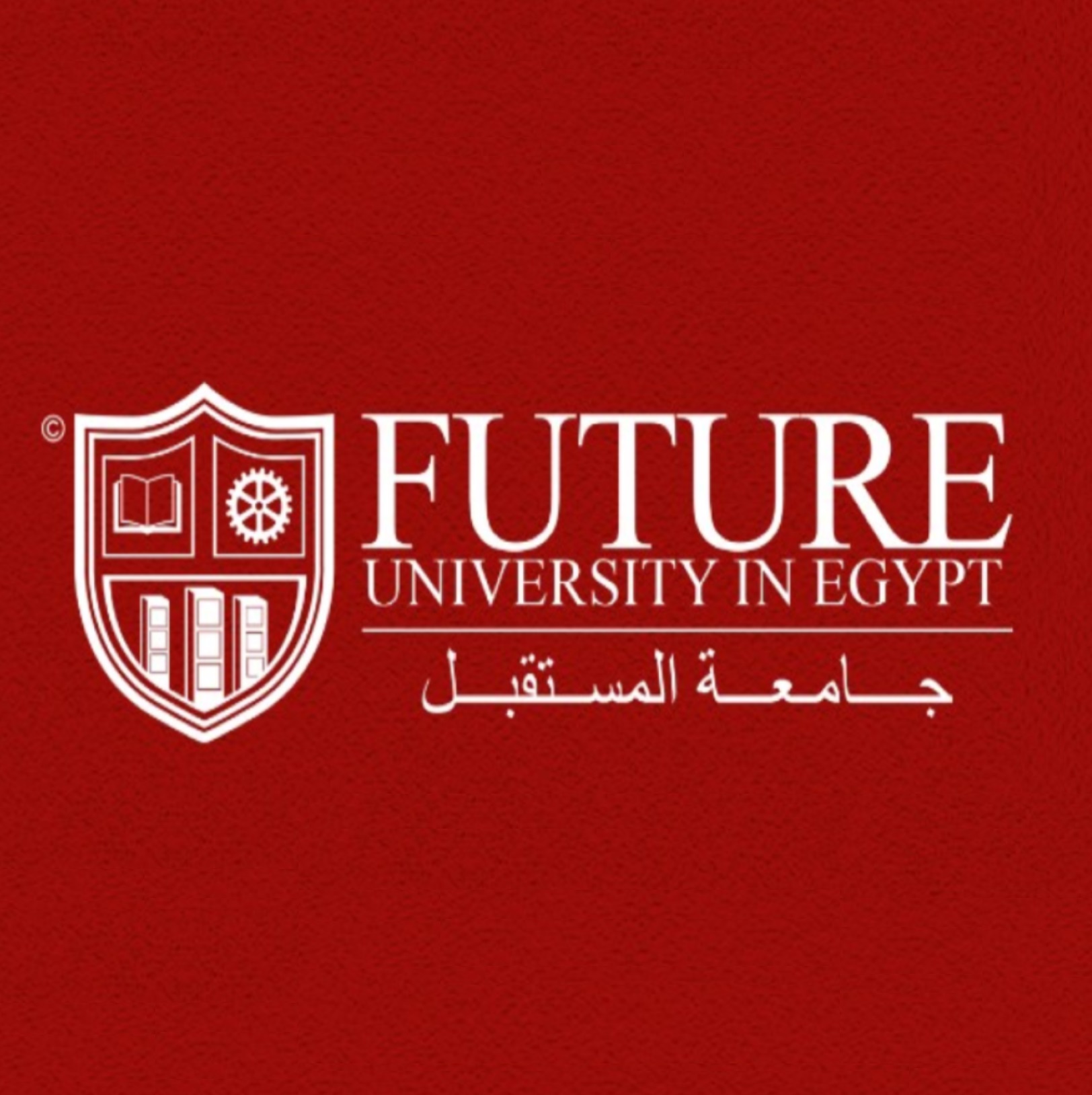 Future University in Egypt (FUE)